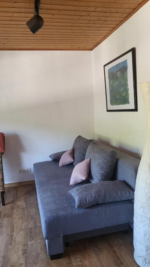 Ferienwohnung Zum Rheinblick Kestert Exterior foto