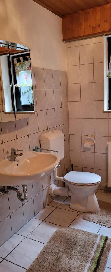 Ferienwohnung Zum Rheinblick Kestert Exterior foto